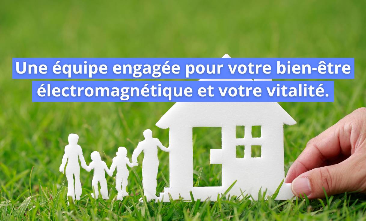 Chez Geotellurique.fr une équipe de conseiller en environnement électromagnétique est au service de votre équilibre électromagnétique et de votre vitalité 